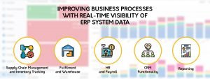 Real-Time Visibility of ERP System Data