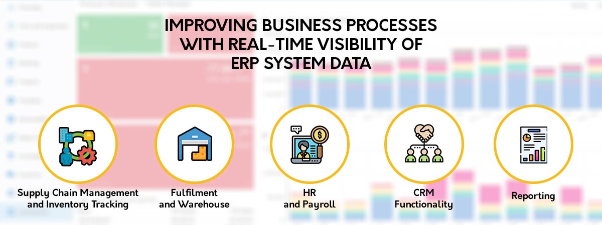 Real-Time Visibility of ERP System Data