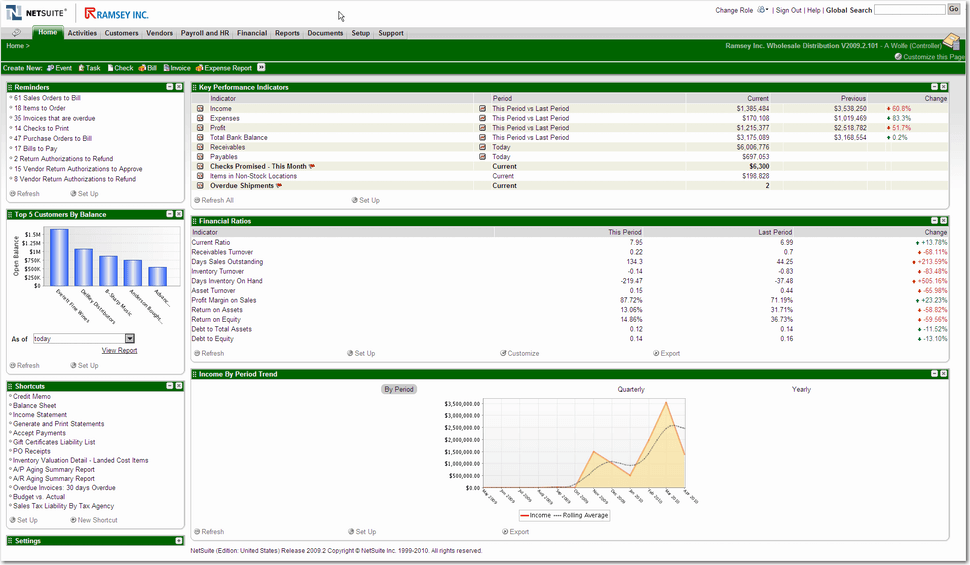 NetSuite Software